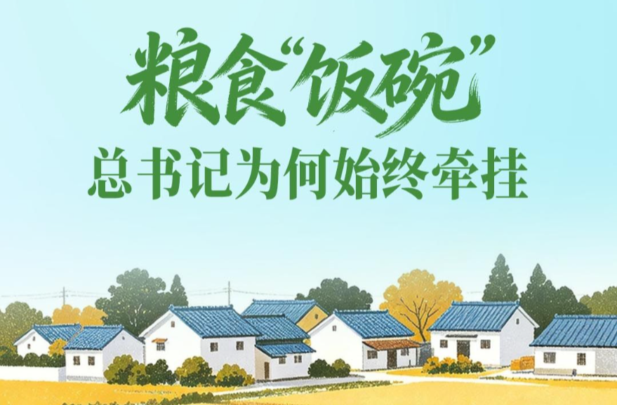 一见·粮食“饭碗”，总书记为何始终牵挂