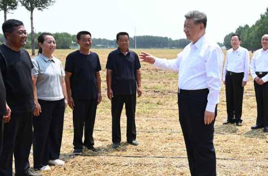 此行间·跟随总书记到田间地头，看农业农村现代化新画卷