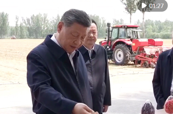 近镜头｜总书记手中这把麦粒凝聚同心奋斗