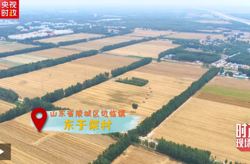 时政现场说丨共绘“三夏”好“丰”景 下好振兴“一盘棋”