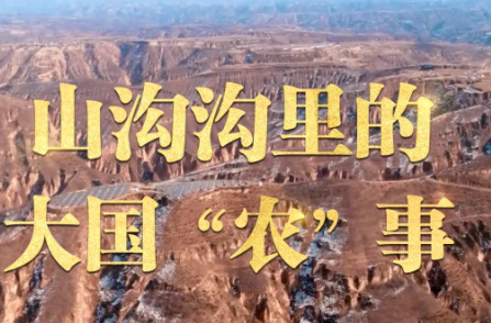 微视频｜山沟沟里的大国“农”事