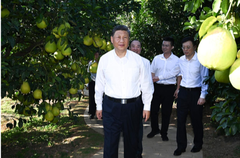 学习进行时｜感悟总书记的“三农情怀”