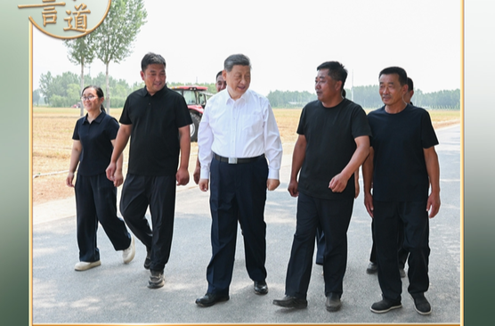 习言道｜走到田间地头，总书记说完夏粮说秋粮