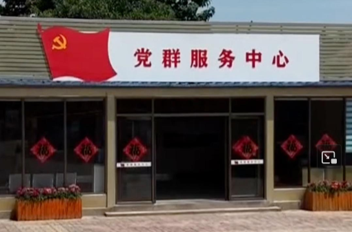 “希望村党组织进一步发挥党建引领作用”