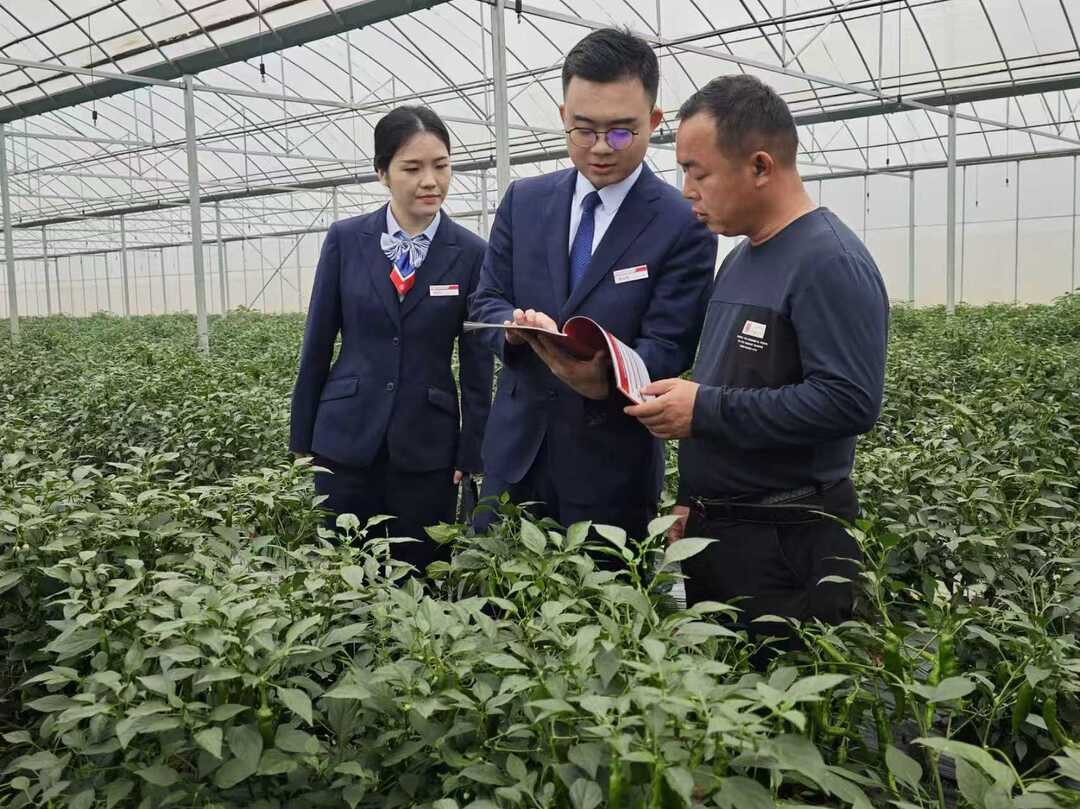 舞台上演民生故事，舞台下写“普惠答卷” ！看汨罗农商银行如何“润泽”城乡