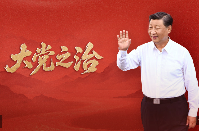 大党之治
