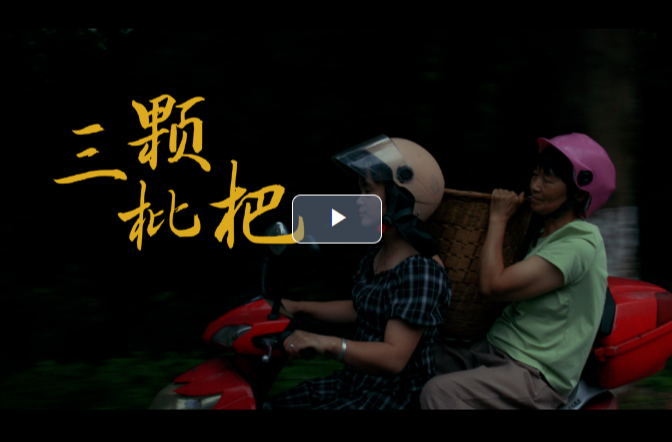 新闻微电影｜《三颗枇杷》