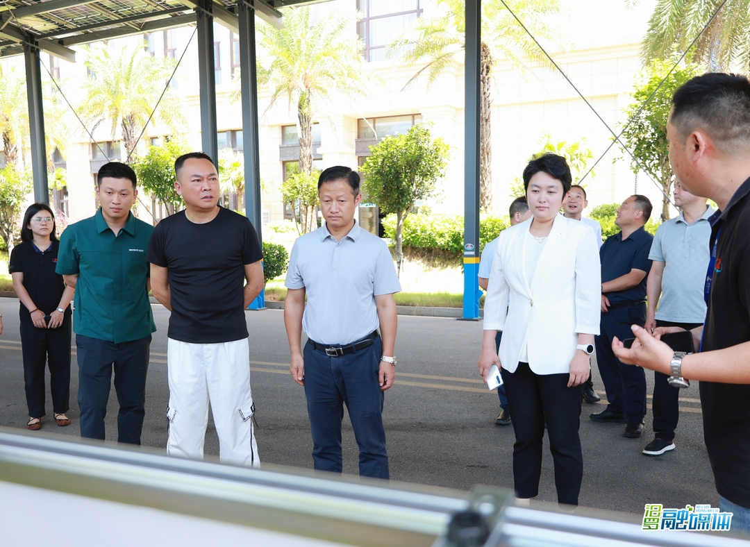 林恒求调研新能源开发及绿电直连工作