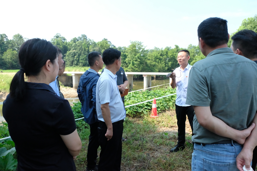 岳阳市农村自建桥整治现场会走进汨罗 白水镇吴家桥整治工程即将竣工