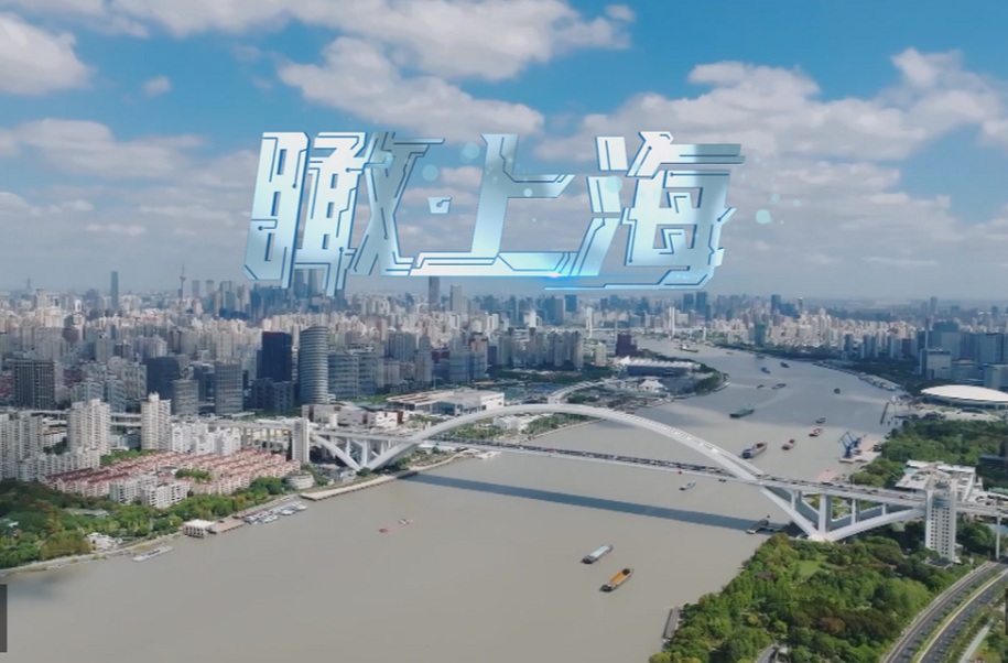 时政微视频丨瞰上海