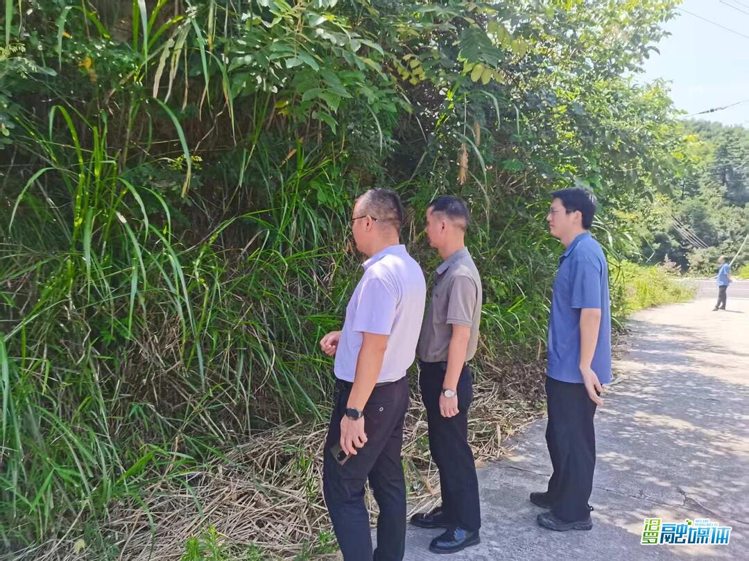 汨罗市林业局：黄脊竹蝗防控在川山坪镇率先打响