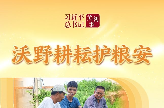 沃野耕耘护粮安