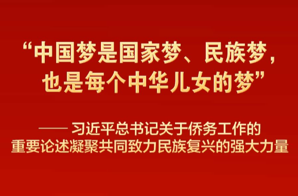 习近平总书记重要论述凝聚共同致力民族复兴强大力量
