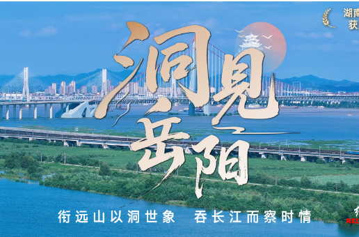 洞见岳阳丨打通“两业融合”通道，筑牢实业产才根基