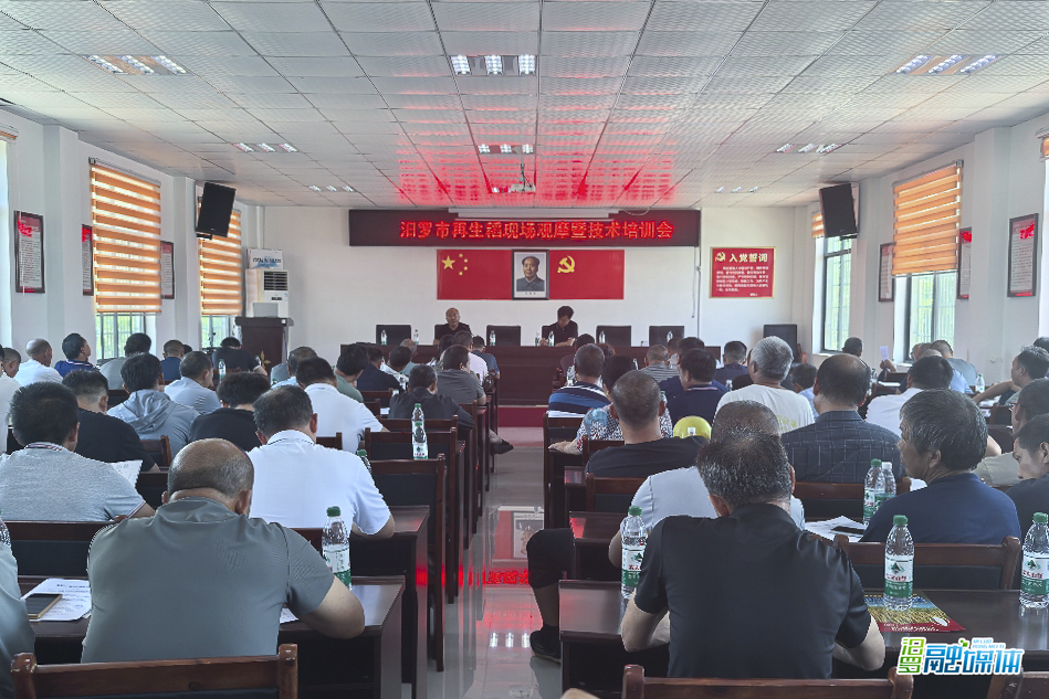 汨罗市再生稻现场观摩暨技术培训会在弼时镇举行