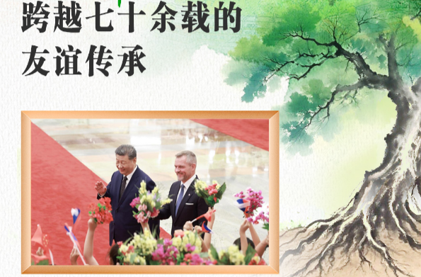 天天学习｜中斯友谊之树根深叶茂