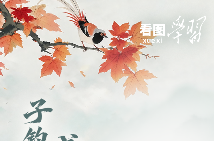 看图学习·和谐共生丨总书记用这些古语阐释自然之道