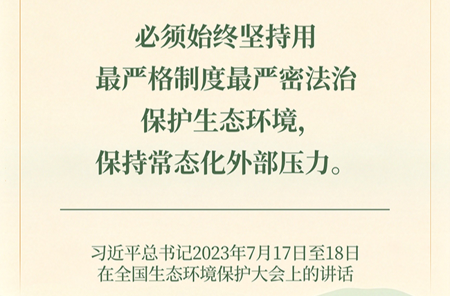 良法善治·回响｜一片古柏，见证制度的力量