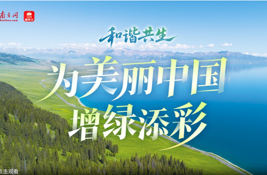 和谐共生｜为美丽中国增绿添彩
