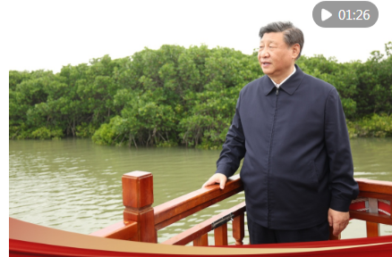 学习新语｜绿色承诺一以贯之