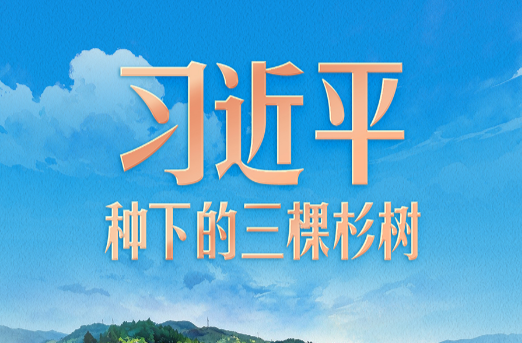 习言道｜习近平种下的三棵杉树