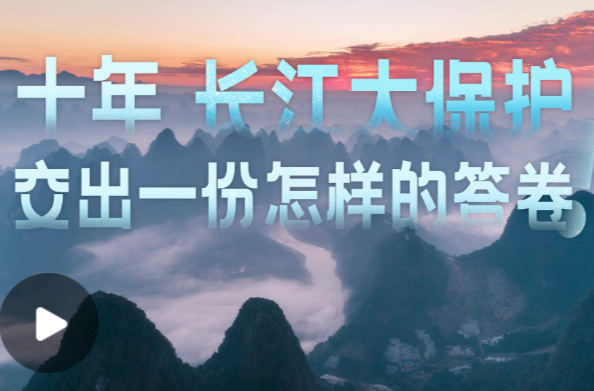 和谐共生丨长江的答案