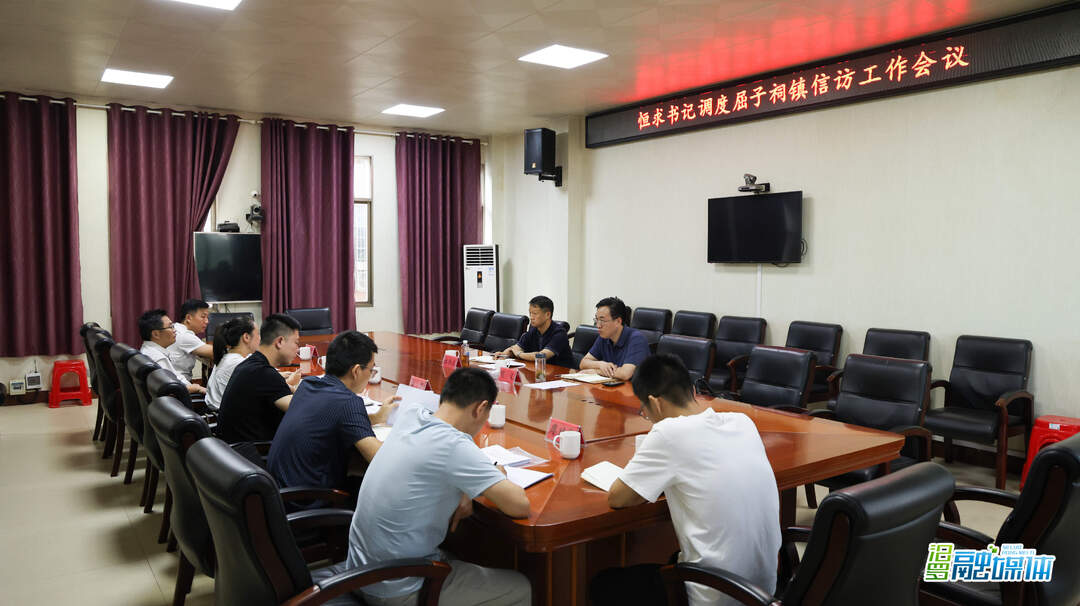 林恒求到屈子祠镇调研