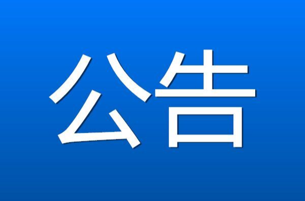 关于选举日有关事项的公告