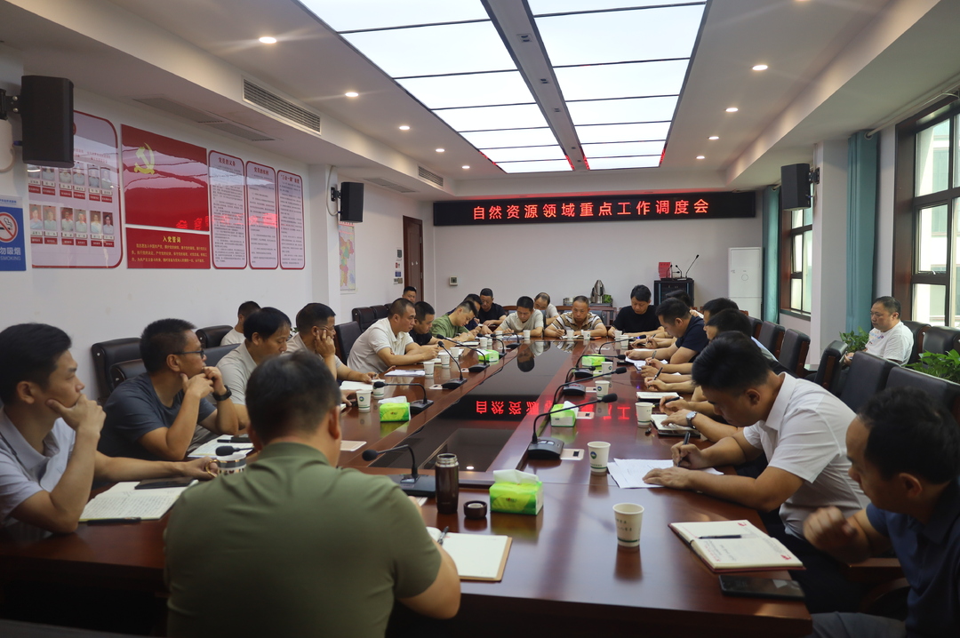 汨罗市自然资源局严抓三项重点工作
