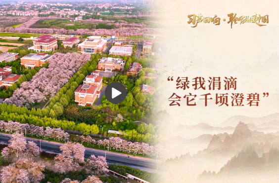 【习声回响·聆听温暖中国】“绿我涓滴 会它千顷澄碧”