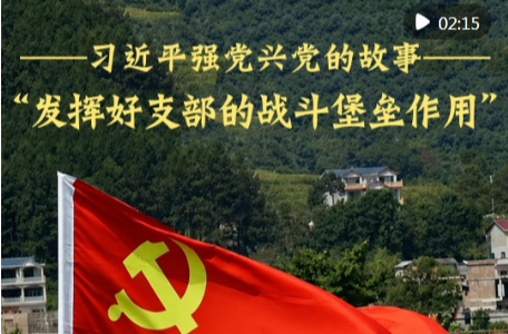 “发挥好支部的战斗堡垒作用”