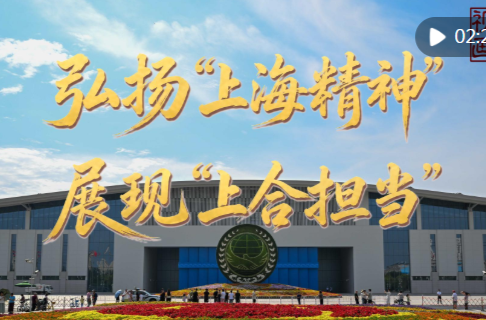 视频画报｜弘扬“上海精神” 展现“上合担当”
