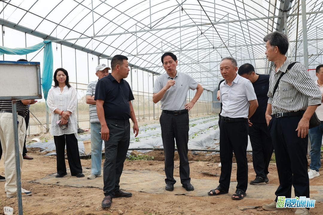岳阳市老科协来汨罗调研