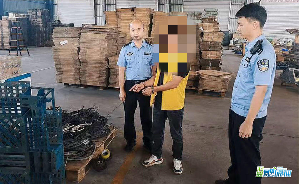 企业服务年 | 新市派出所破获5起涉企案件 为企业挽损超500万元