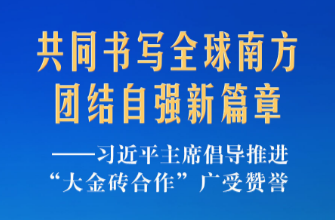 习近平主席倡导推进“大金砖合作”广受赞誉