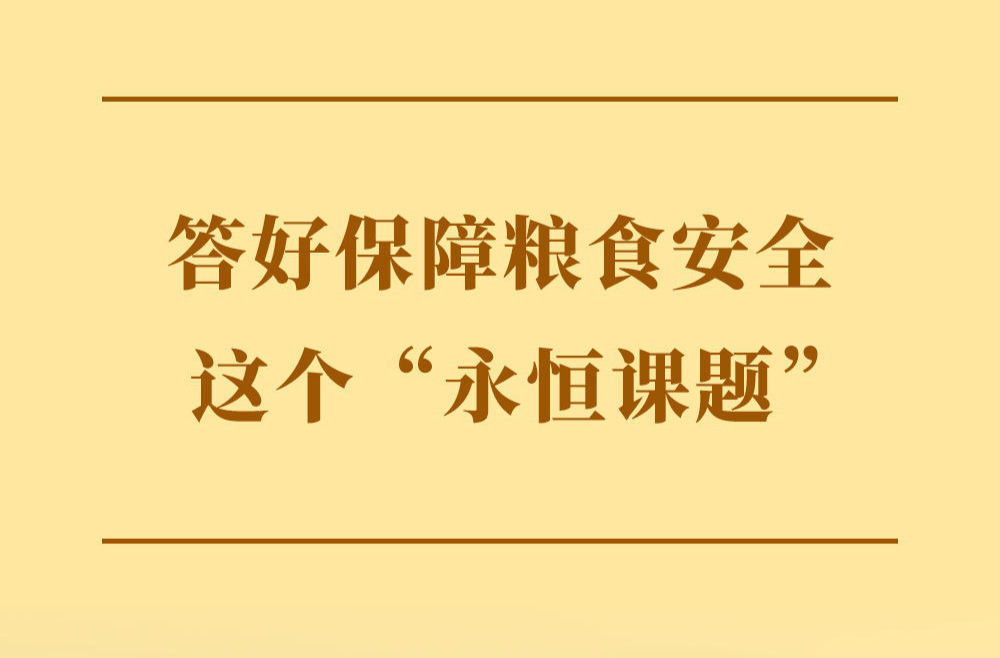 学习手记 | 答好保障粮食安全这个“永恒课题”