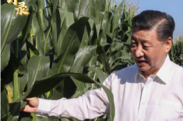 传习录丨“中国人要把饭碗端在自己手里”