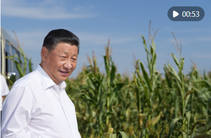 学习新语｜跟着总书记一起话丰收