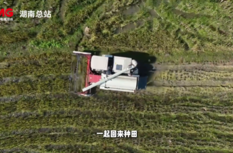 我的荣誉记忆｜我是雨 我要落在田野上
