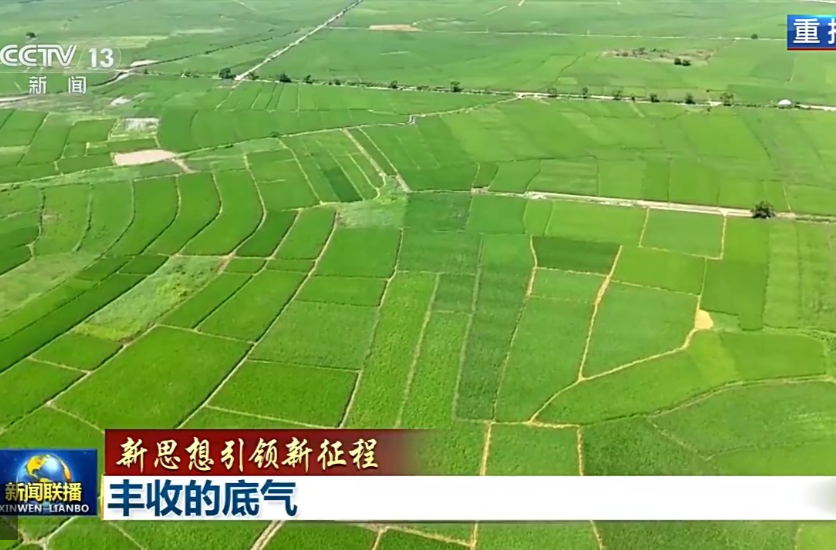 新思想引领新征程丨丰收的底气