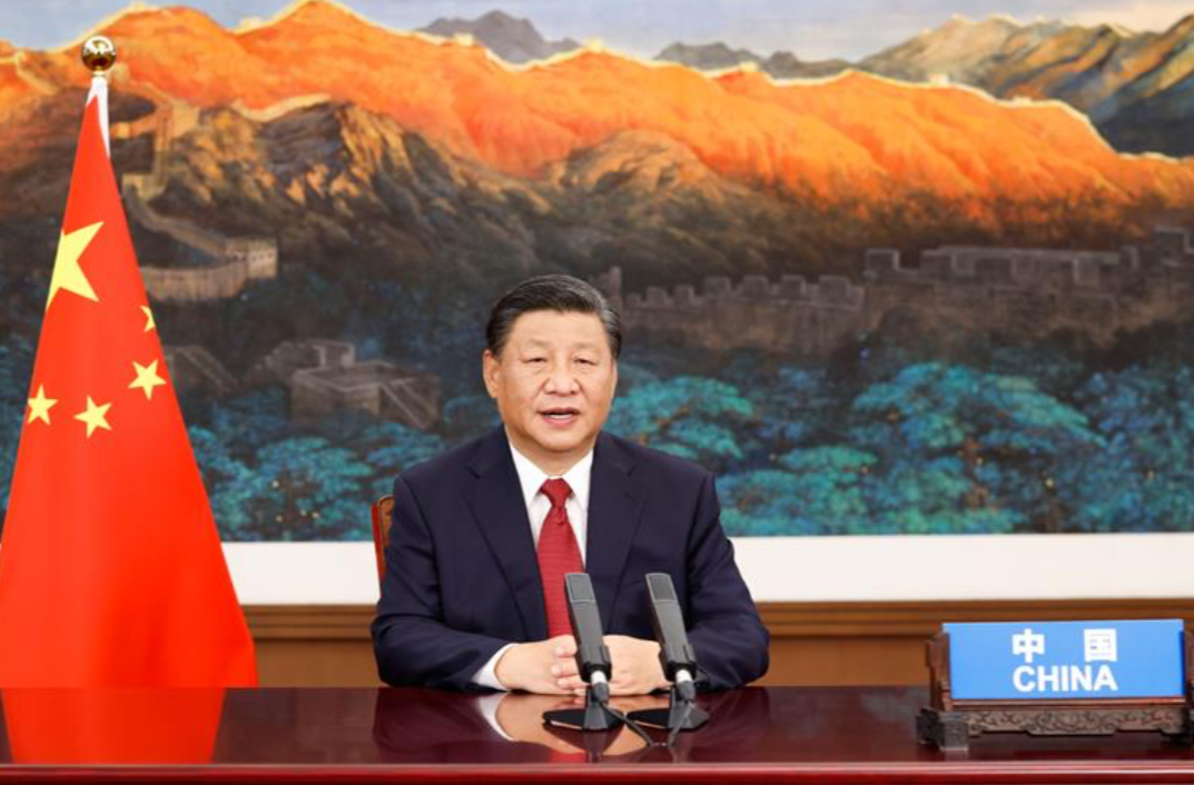 时政微观察丨书写共促发展、合作共赢新篇章