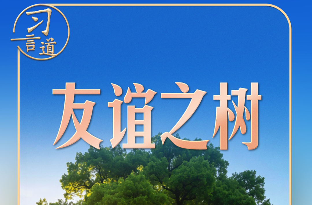 习言道｜在白宫，习近平提到了一棵树和一片林