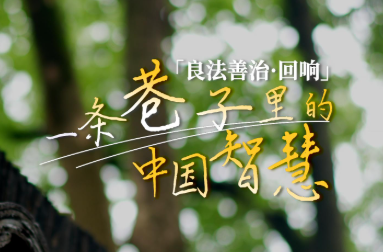 良法善治·回响｜一条巷子里的中国智慧