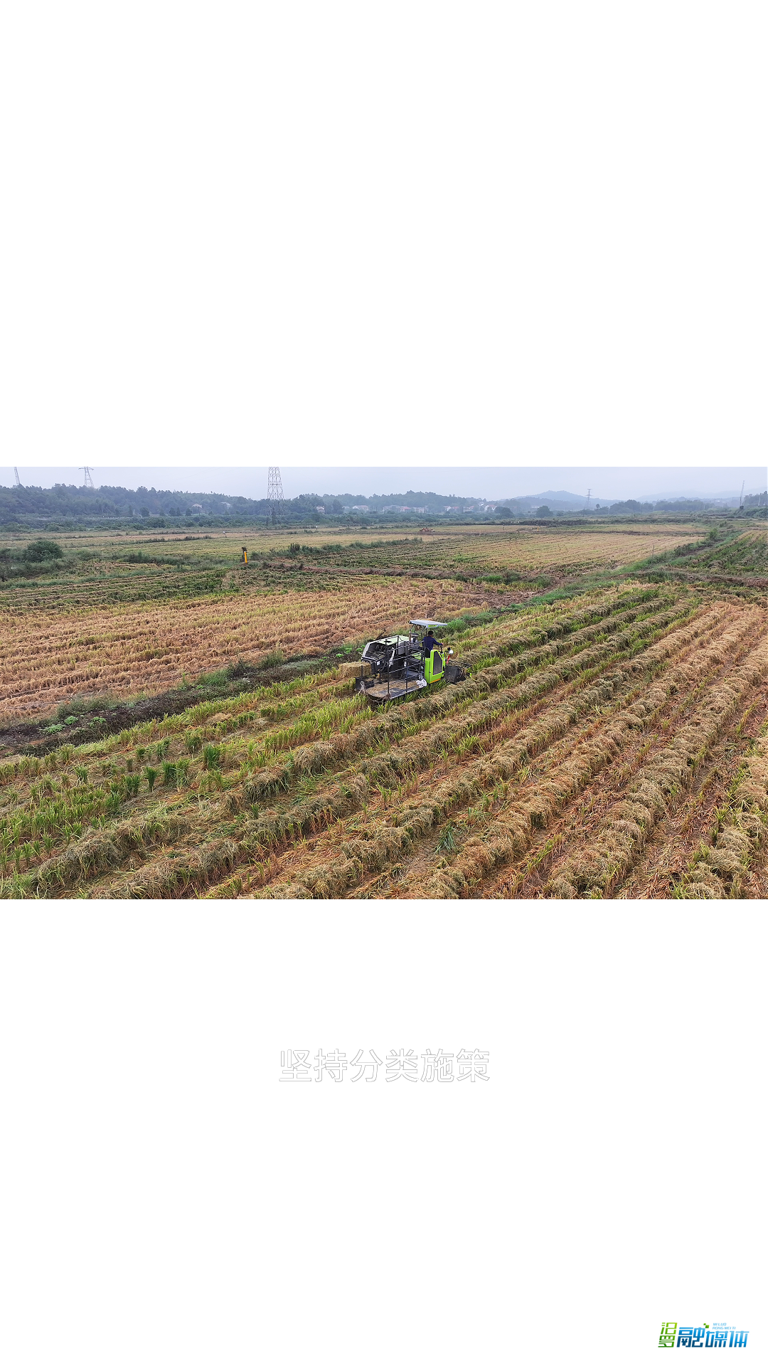 汨罗：一根秸秆的全链新生
