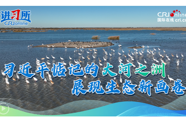 【讲习所·追光的你】习近平惦记的大河之洲展现生态新画卷
