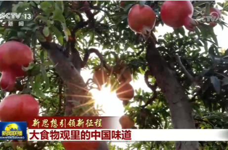 【新思想引领新征程】大食物观里的中国味道