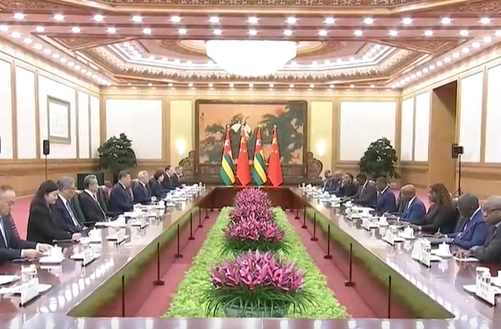 习近平会见多哥部长会议主席