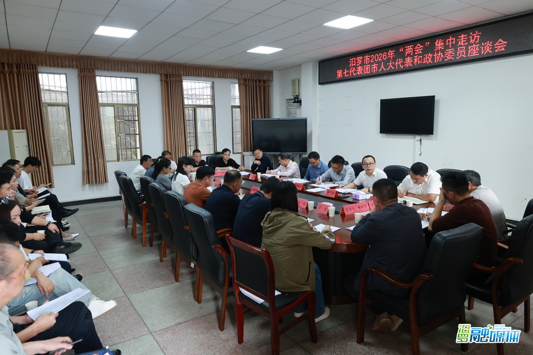 市领导集中走访大荆镇、桃林寺镇市人大代表和政协委员