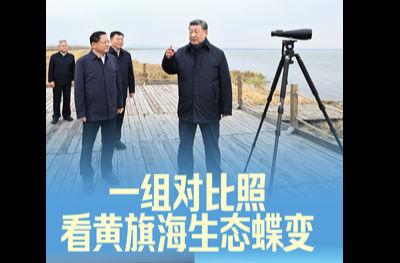 拾光纪·一组对比照，看黄旗海生态蝶变