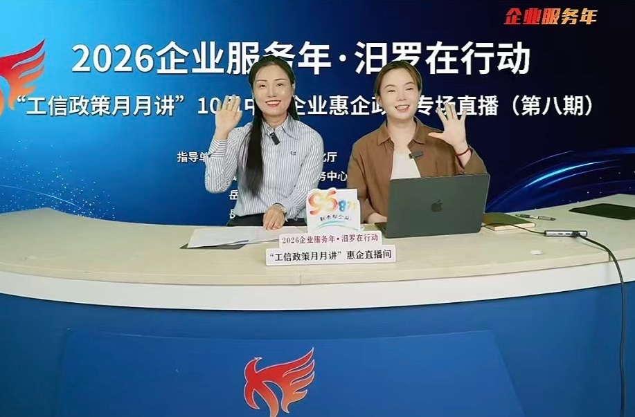  企业服务年｜汨罗“工信政策月月讲”第八期开播 四大专项政策“干货”直达企业